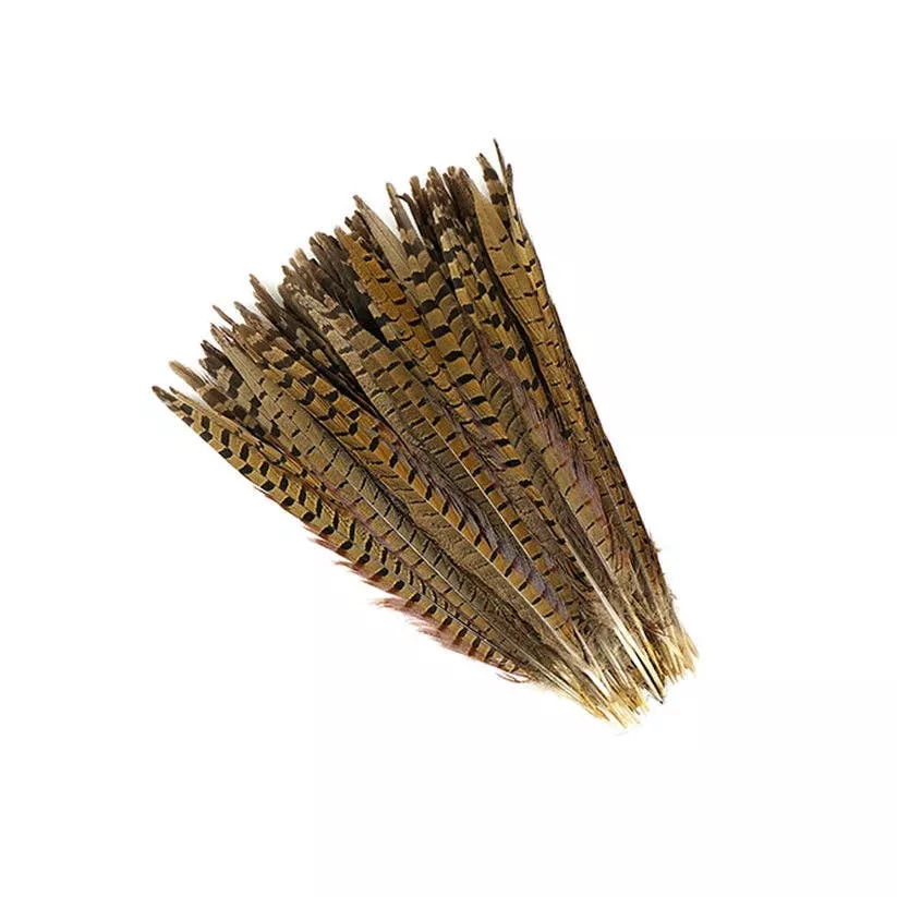 10 PC/PKG Ringneck Pheasant Tails 12-14" - Natural