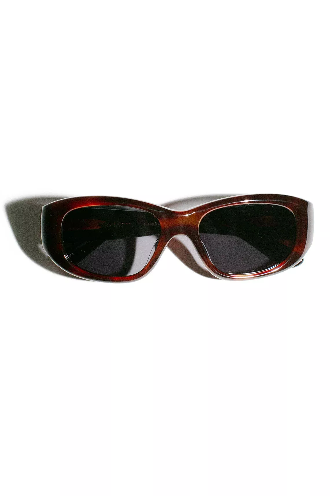 The Al Dark Tortoise & Black