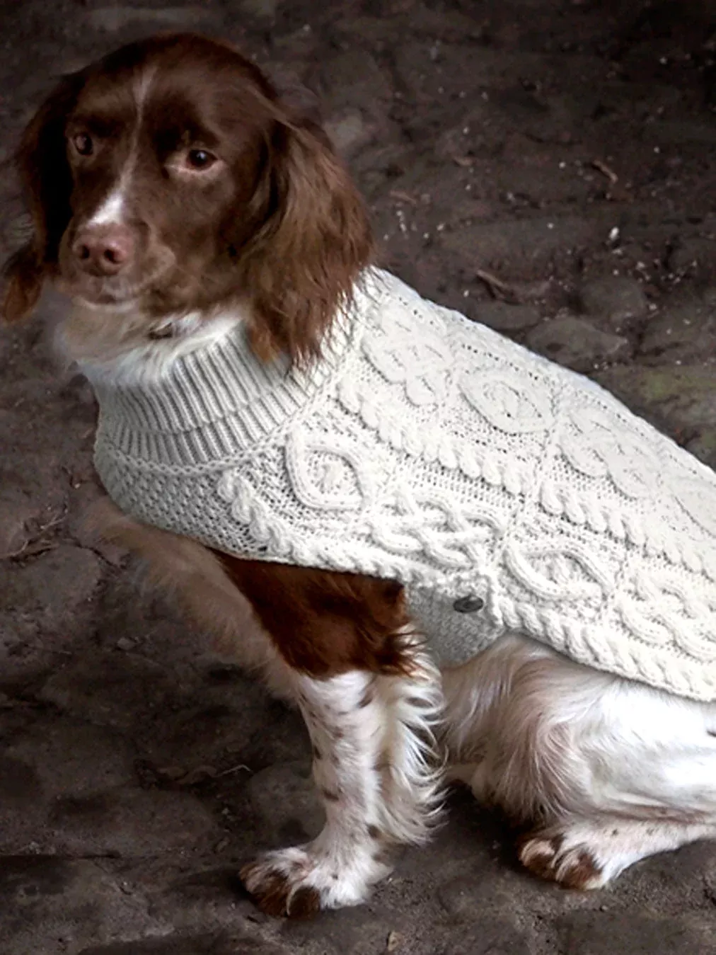 Aran Dog Coat Merino Wool