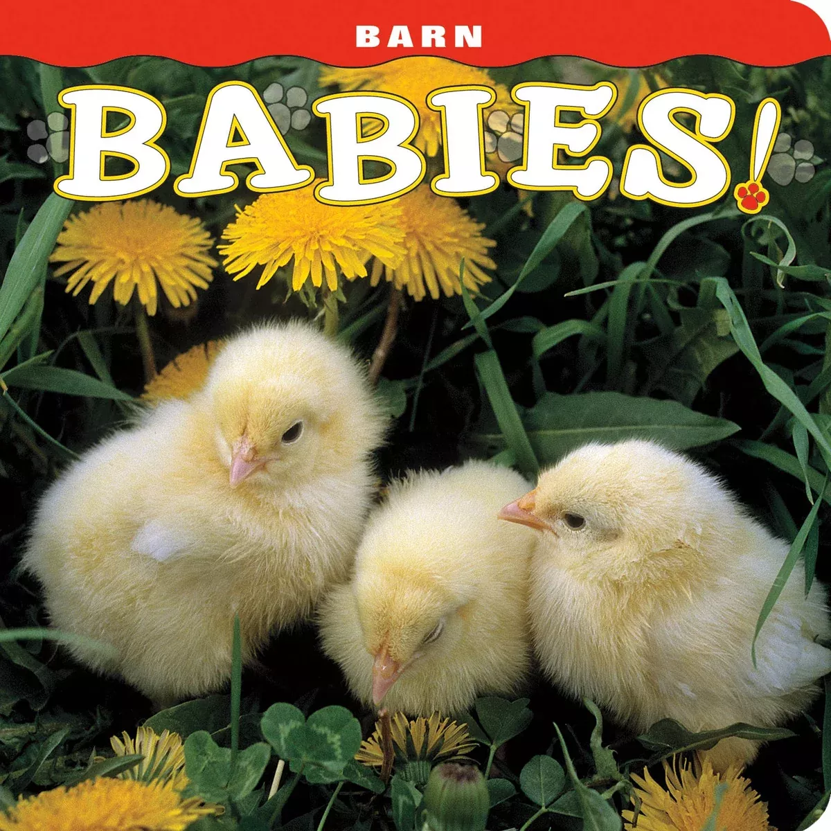 Barn Babies