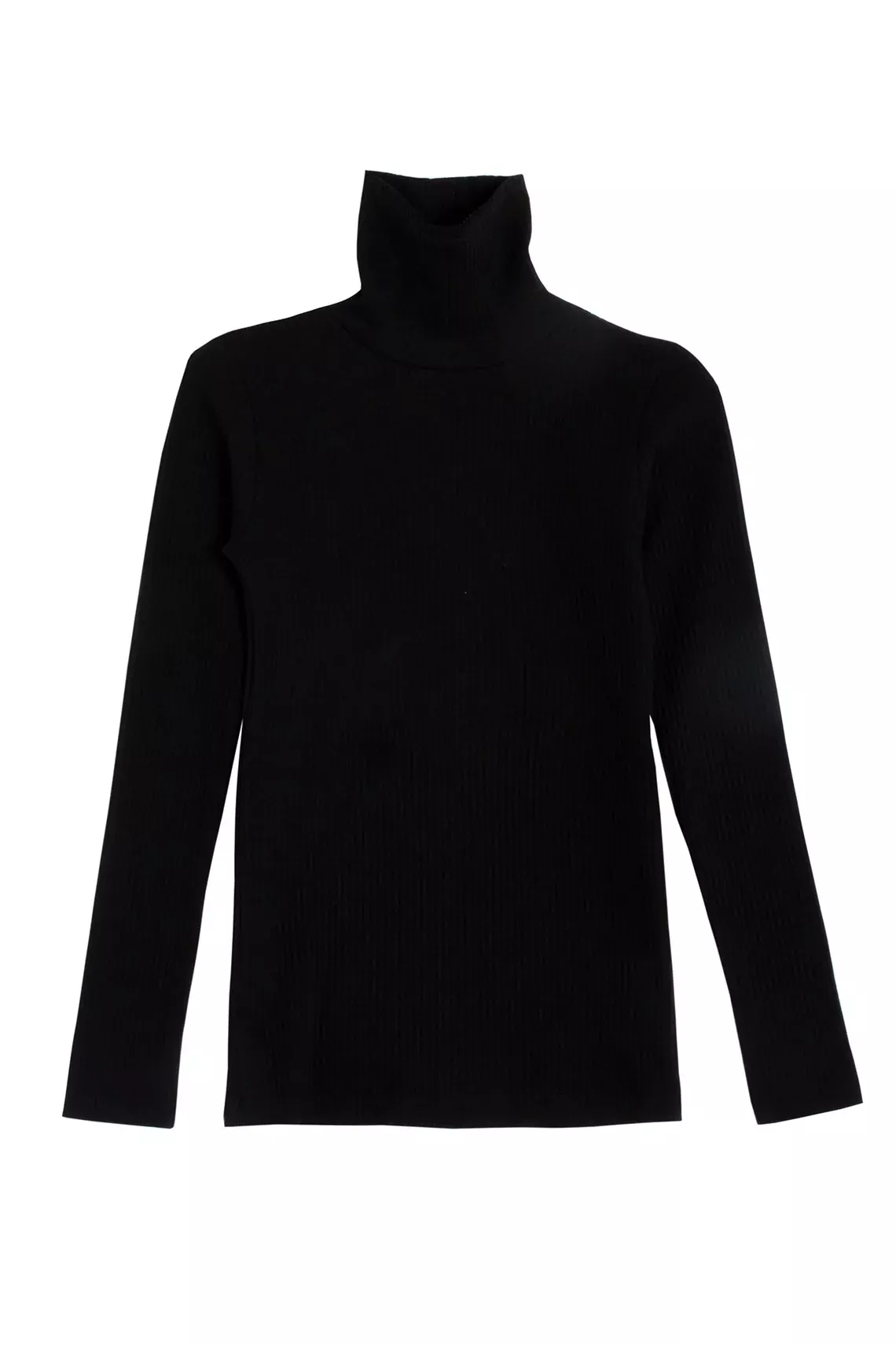 Basic Color Black Turtle