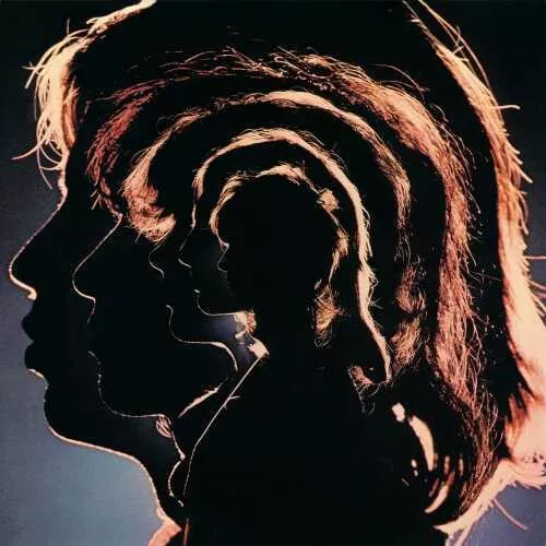 Hot Rocks 1964-1971 (Vinyl) - The Rolling Stones