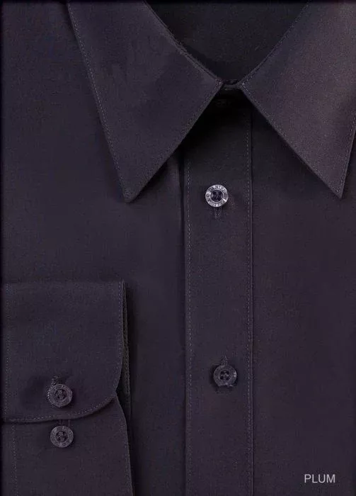 Men's Regular Fit Basic Dress Shirt in Plum Eggplant