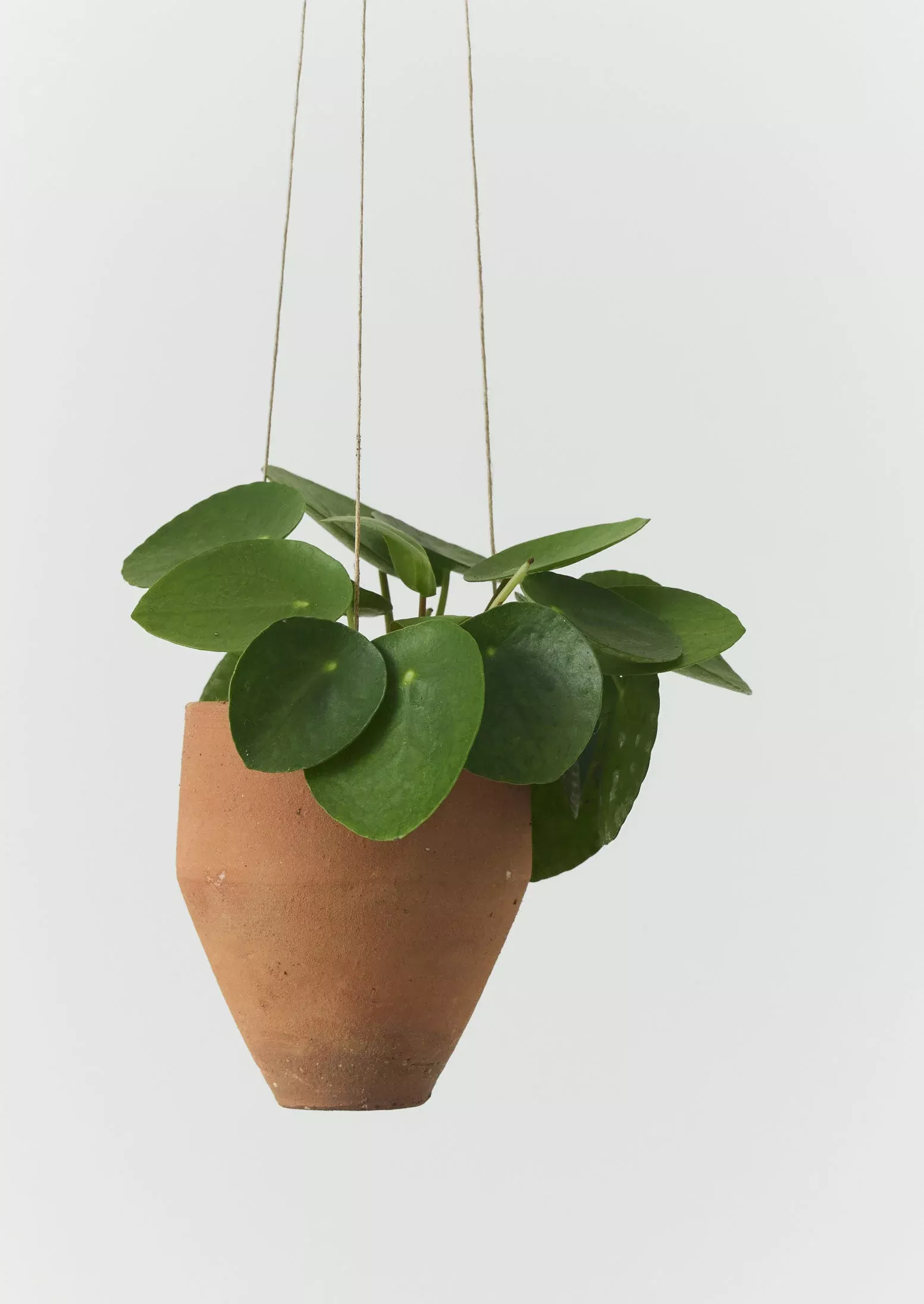 Soller Terracotta Hanging Planter Set