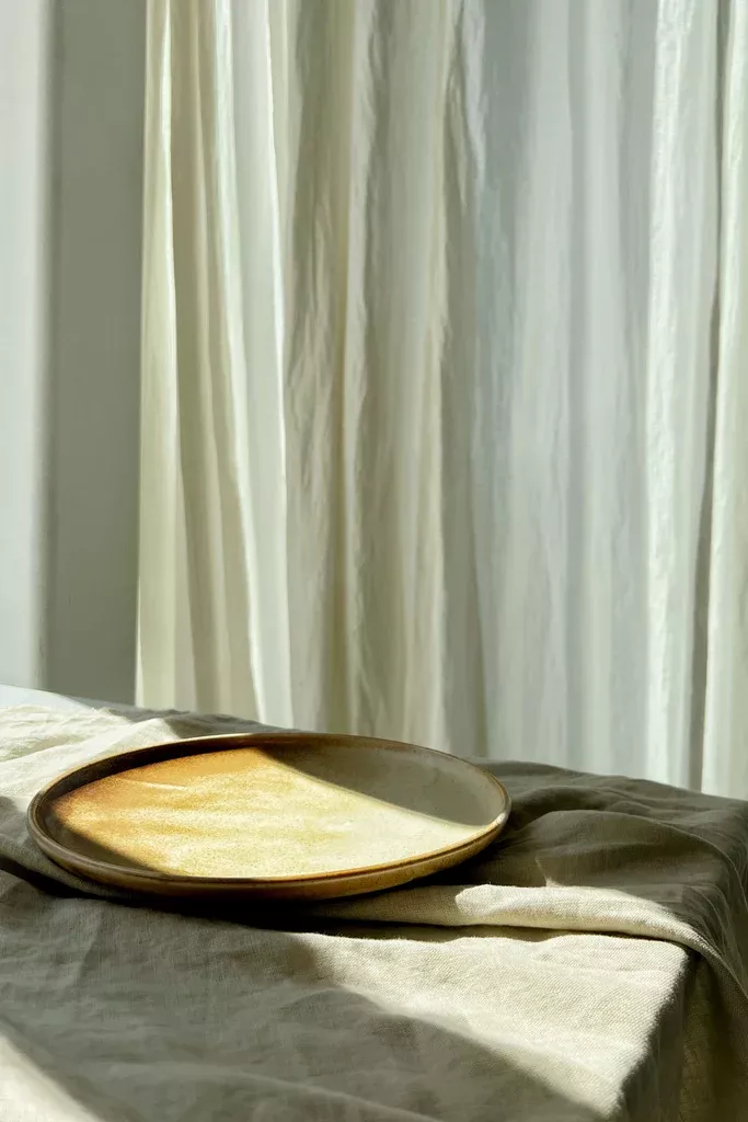 SPIRIT WARES RUST DINNER PLATE